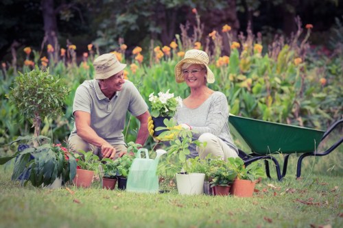 Professional garden maintenance in Catford
