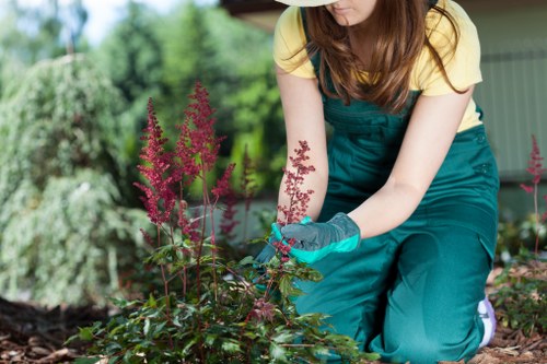 Eco-friendly sustainable landscaping practices in Catford
