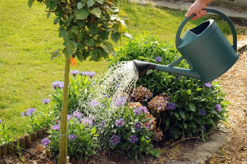Hardscaping elements in a Catford garden