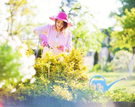 Eco-friendly gardening practices by Catford experts