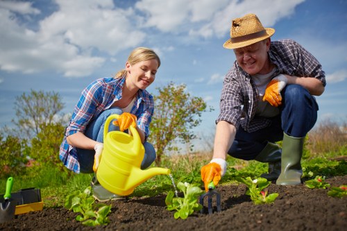 Professional landscaper enhancing curb appeal in Catford