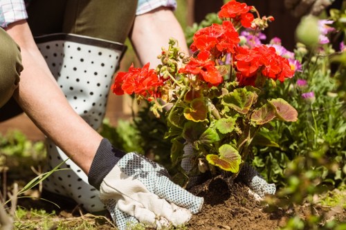 Community gardener assisting a resident with accessible garden layout plans