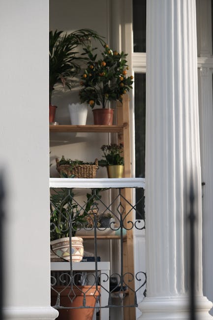 The image depicts an interior view of a room with large vertical white curtains partially pulled back, revealing a wooden shelf against the wall. On the shelf, there are potted plants, including a sma